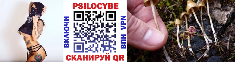 купить наркотик  Рыбное  гидра вход  Псилоцибиновые грибы ЛСД 